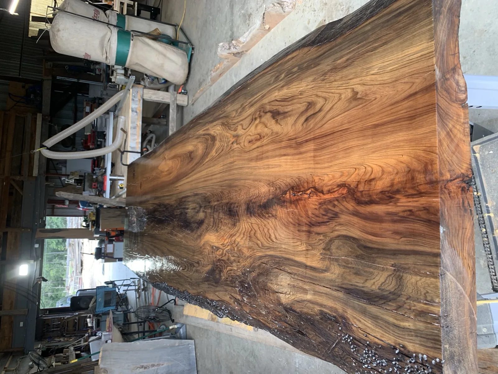 Massive raw cypress slab — natural swirling grain patterns, live edge