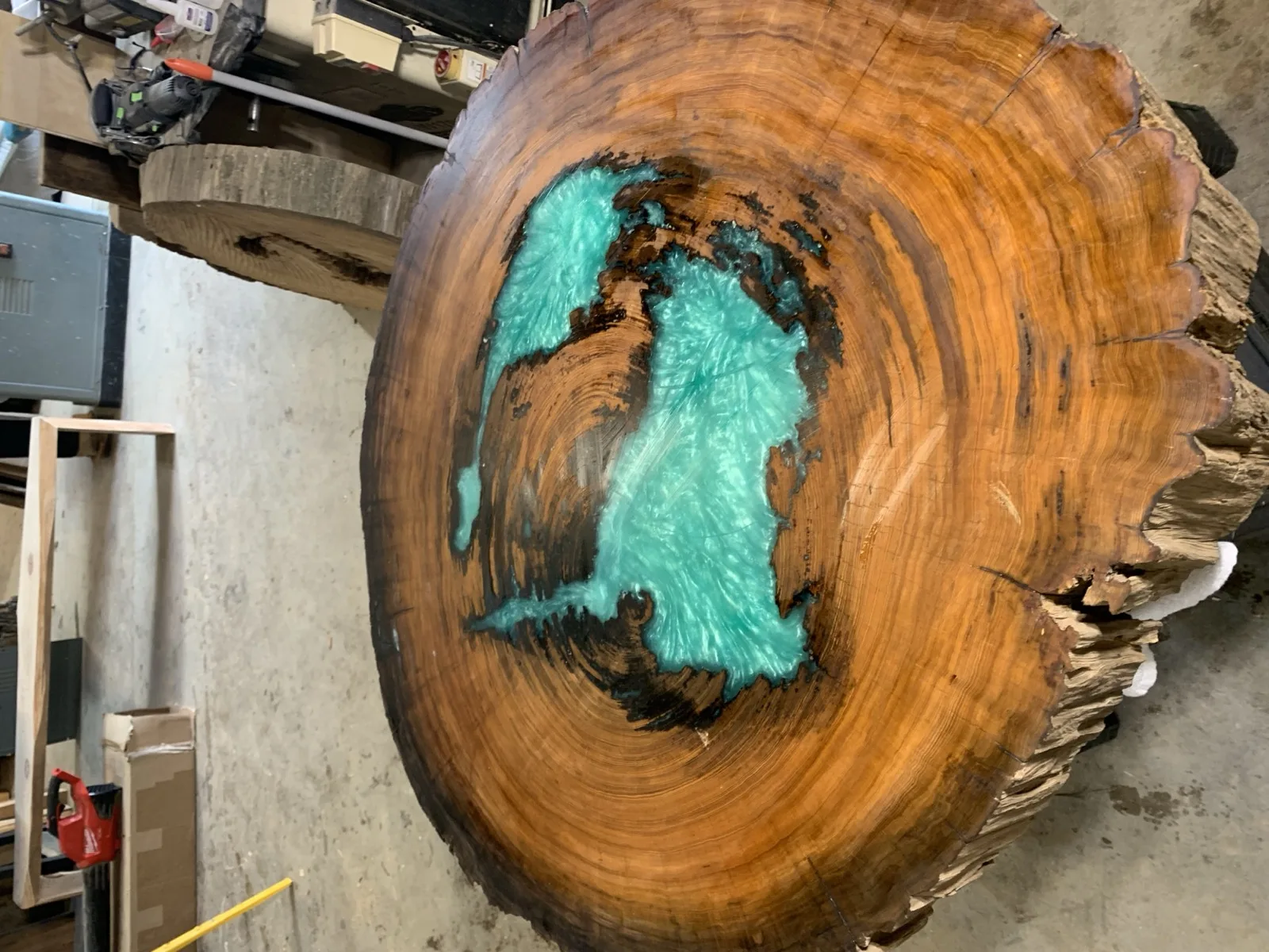 Round cypress cross-section with turquoise epoxy fill — natural growth rings visible